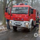 Fotka nr 5 z 7