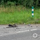 Fotka nr 3 z 18