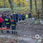 Fotka nr 1 z 42
