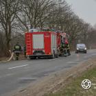 zdjęcie nr 7