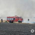 Fotka nr 5 z 21