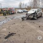 zdjęcie nr 15