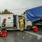 Fotka nr 1 z 17