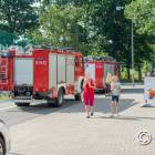 Fotka nr 3 z 13