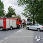 zdjęcie nr 11