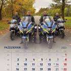 zdjęcie nr 10
