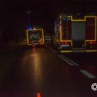Fotka nr 2 z 10