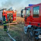 Fotka nr 5 z 17