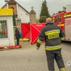 Fotka nr 2 z 11