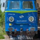 Fotka nr 1 z 29