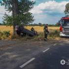 Fotka nr 2 z 17