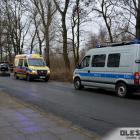 Fotka nr 5 z 6