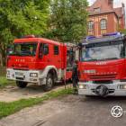 Fotka nr 5 z 6