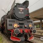 Fotka nr 4 z 12