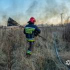 Fotka nr 2 z 17