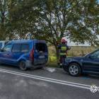 Fotka nr 2 z 16