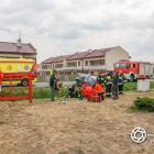 Fotka nr 5 z 37