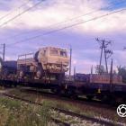 Fotka nr 5 z 11