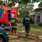 Fotka nr 2 z 11