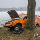 Fotka nr 1 z 8