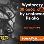 zdjęcie nr 58