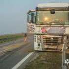 Fotka nr 2 z 12