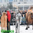 zdjęcie nr 10