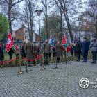 zdjęcie nr 21