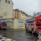 Fotka nr 4 z 12