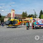 Fotka nr 5 z 12