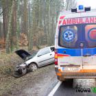 zdjęcie nr 15