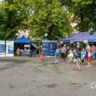 zdjęcie nr 8