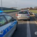 Fotka nr 1 z 8