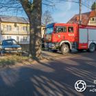 Fotka nr 4 z 12