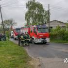 Fotka nr 3 z 10