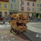 Fotka nr 5 z 6
