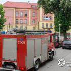 Fotka nr 1 z 12