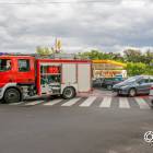 Fotka nr 4 z 11