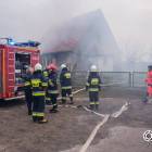 zdjęcie nr 8