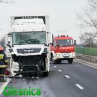 Fotka nr 3 z 12