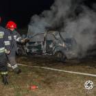 Fotka nr 2 z 15