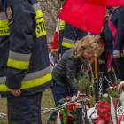 zdjęcie nr 43