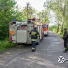 Fotka nr 5 z 14