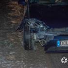 Fotka nr 2 z 14