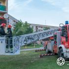 Fotka nr 2 z 12