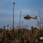 Fotka nr 1 z 18
