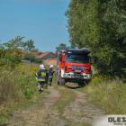 Fotka nr 1 z 42
