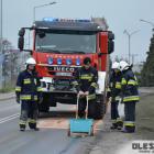 zdjęcie nr 16