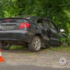 Fotka nr 2 z 12