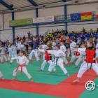 Fotka nr 4 z 46